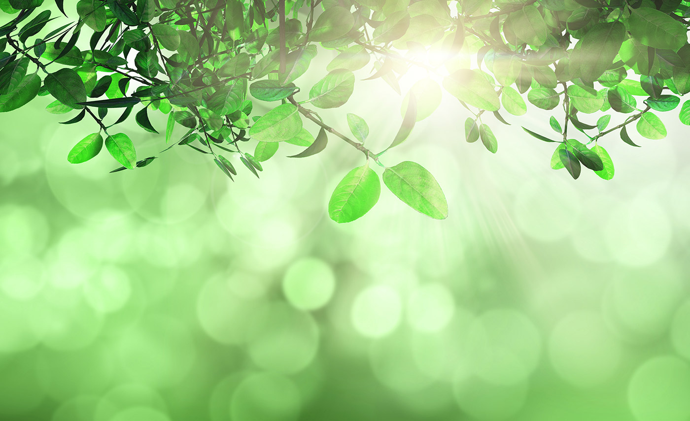 Natura in Terapia